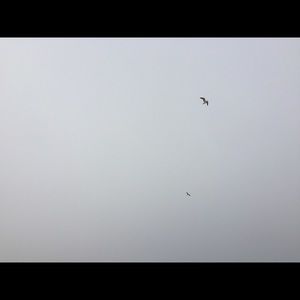 Meet your Posher, Trinity